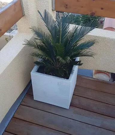 Maison Bord De Port